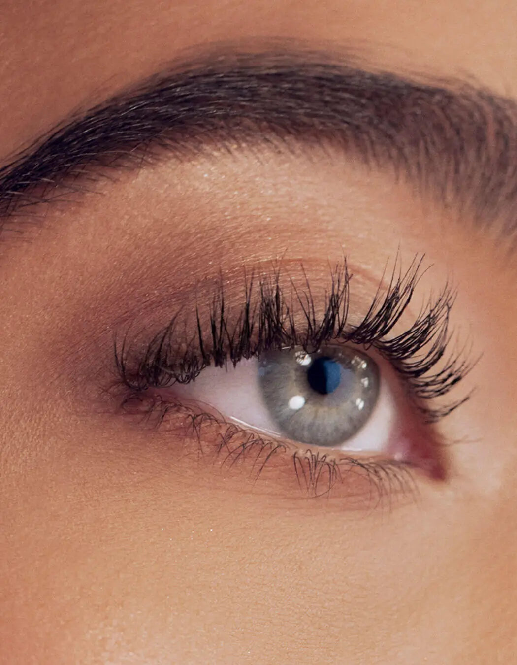 Eyelash Conditioner